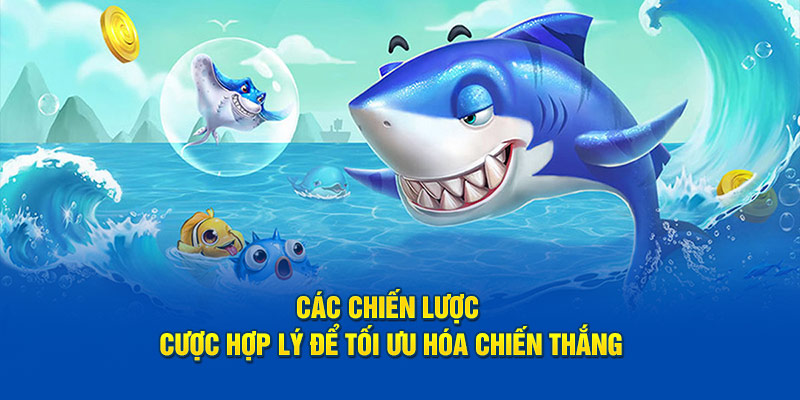 Các chiến lược cược hợp lý để tối ưu hóa chiến thắng