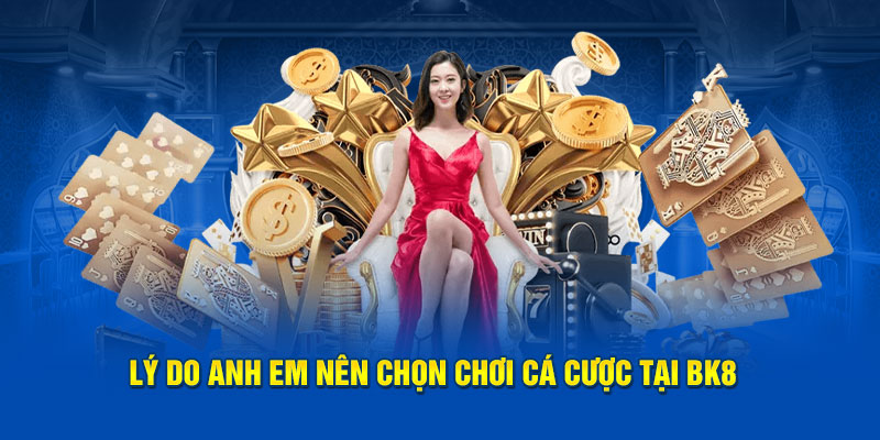 Lý do người chơi nên chọn chơi cá cược tại BK8